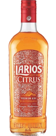 Larios Citrus Gin Gin & Tonic Orange Infused Gin